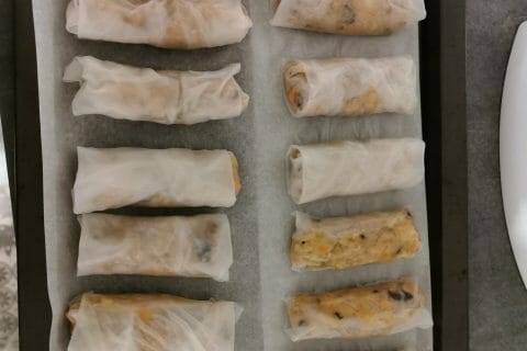 Cliquez pour zoomer ! Nems au poulet Thermomix par titi97270