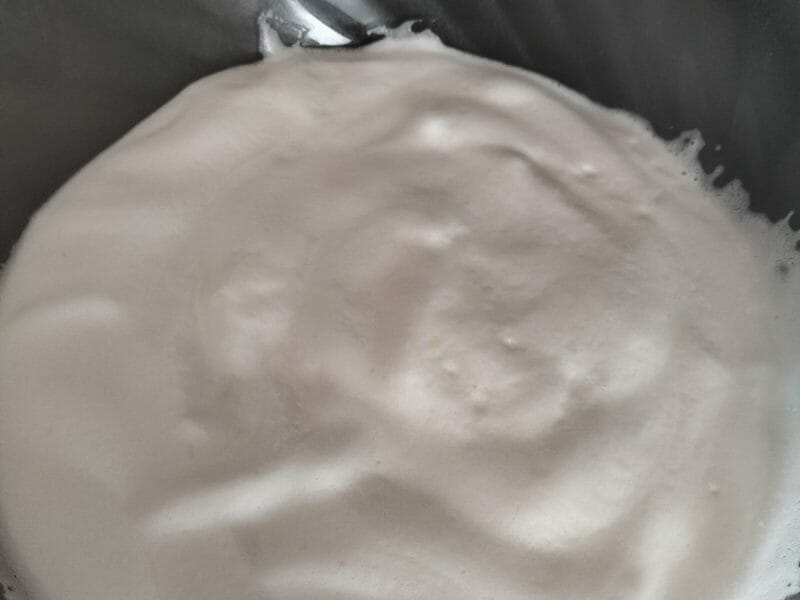 Cliquez pour zoomer ! Mousse au chocolat au jus de pois chiche Thermomix par ceci_31