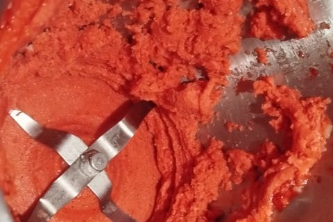Cliquez pour zoomer ! Sorbet à la fraise Thermomix par doudoutag