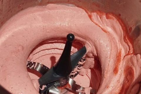 Cliquez pour zoomer ! Sorbet à la fraise Thermomix par doudoutag