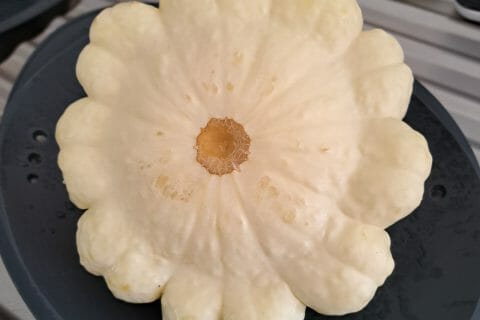 Cliquez pour zoomer ! Gratin de pâtisson Thermomix par csfefinou