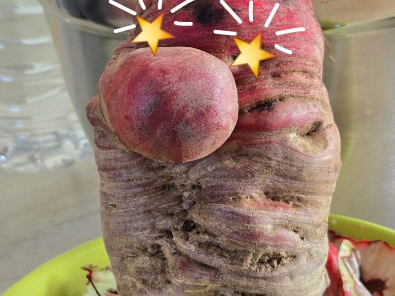 Cliquez pour zoomer ! Photo de csfefinou Thermomix par csfefinou