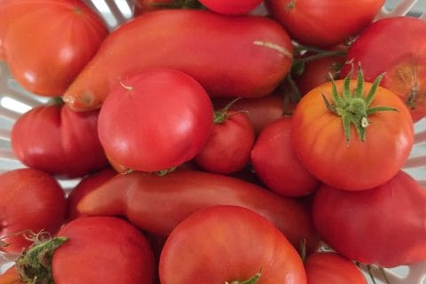 Cliquez pour zoomer ! Photo de csfefinou