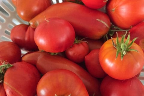 Cliquez pour zoomer ! Photo de csfefinou