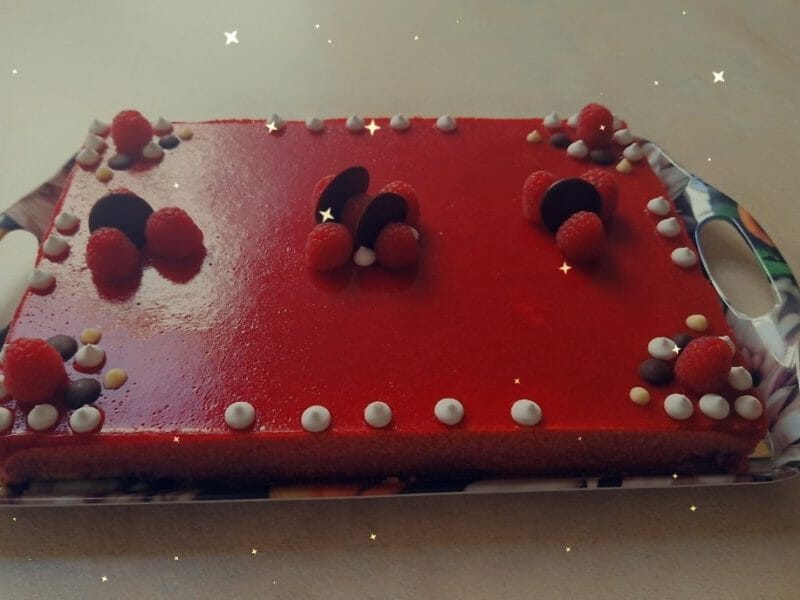 Cliquez pour zoomer ! Bavarois aux framboises Thermomix par elodiesidjy