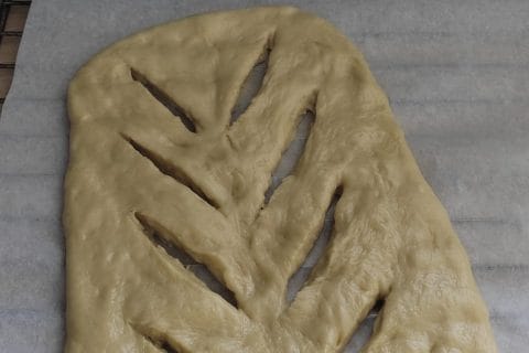 Cliquez pour zoomer ! Gibassier Thermomix par clapagoal