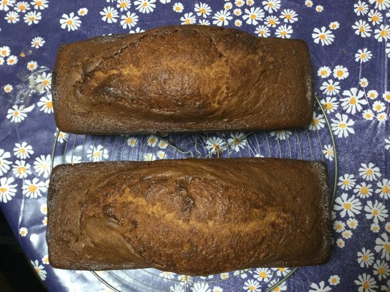 Cliquez pour zoomer ! Marbré au chocolat Thermomix par clochette1979