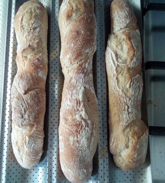 Cliquez pour zoomer ! Baguettes Thermomix par brigeou