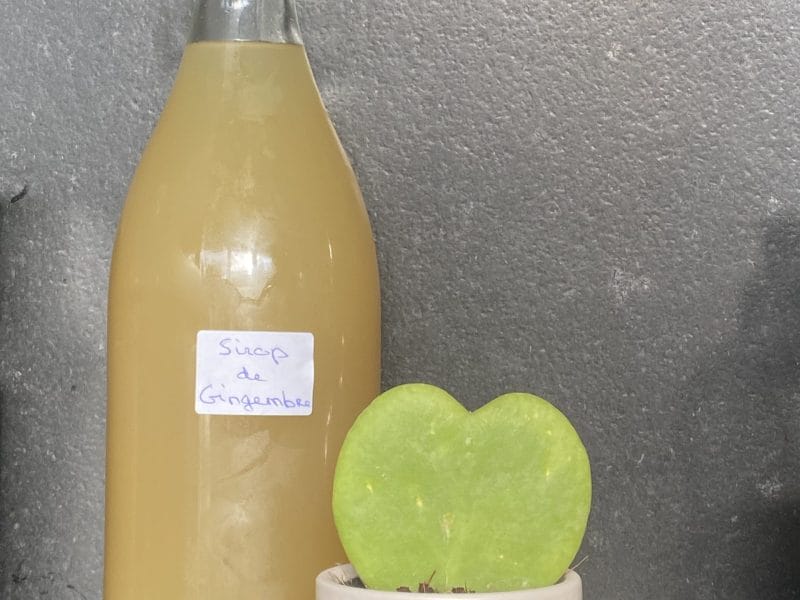 Cliquez pour zoomer ! Sirop de gingembre Thermomix par patipata