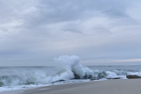 Cliquez pour zoomer ! Photo de patipata