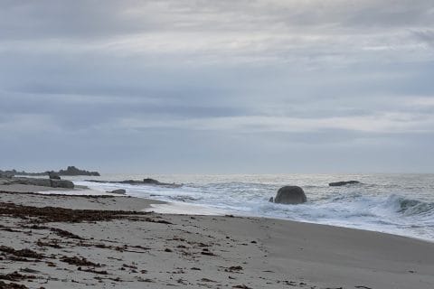 Cliquez pour zoomer ! Photo de patipata