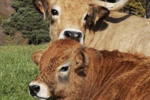 Cliquez pour zoomer ! Photo de patipata Thermomix par patipata