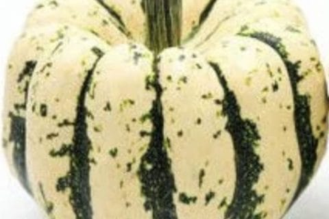 Cliquez pour zoomer ! Photo de patipata Thermomix par patipata