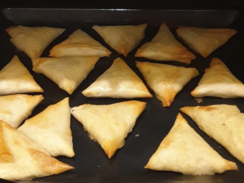 Cliquez pour zoomer ! Bricks au thon Thermomix par emiliedegennes