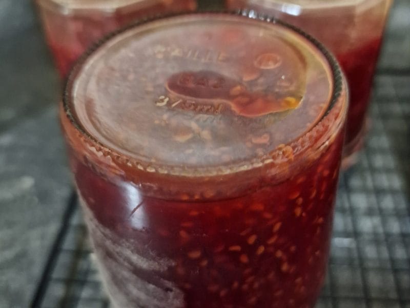 Cliquez pour zoomer ! Confiture de framboises Thermomix par mariepoppins77