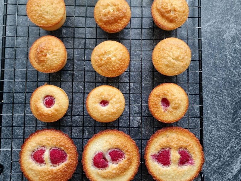 Cliquez pour zoomer ! Financiers Thermomix par mariepoppins77
