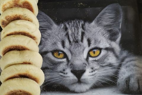 Cliquez pour zoomer ! Muffins anglais Thermomix par mariepoppins77