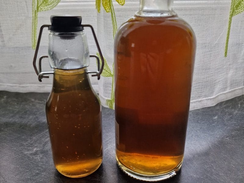 Cliquez pour zoomer ! Sirop de menthe Thermomix par mariepoppins77