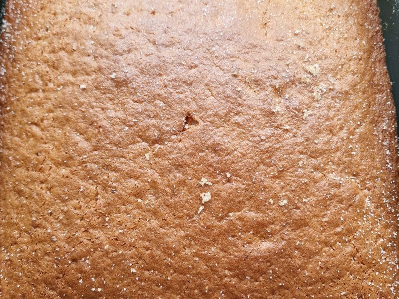 Cliquez pour zoomer ! Gâteau au yaourt Thermomix par mariepoppins77