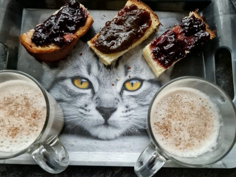 Cliquez pour zoomer ! Lait de dattes Thermomix par mariepoppins77
