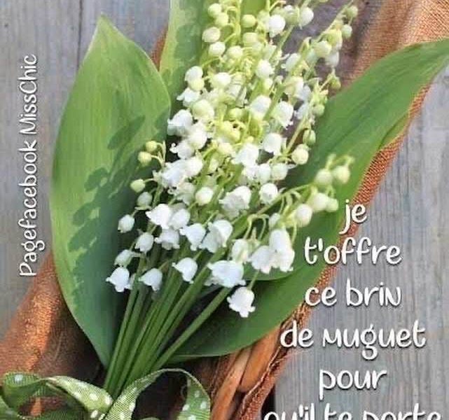 Cliquez pour zoomer ! Photo de mariepoppins77 Thermomix par mariepoppins77