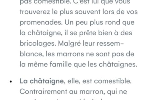 Cliquez pour zoomer ! Photo de mariepoppins77