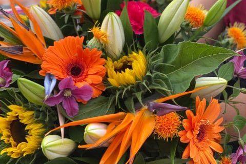 Cliquez pour zoomer ! Photo de mariepoppins77