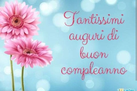 Cliquez pour zoomer ! Photo de mariepoppins77