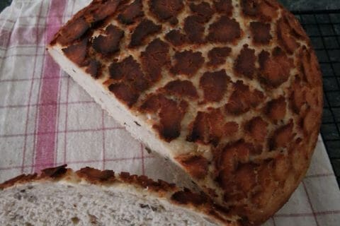 Cliquez pour zoomer ! Photo de mariepoppins77