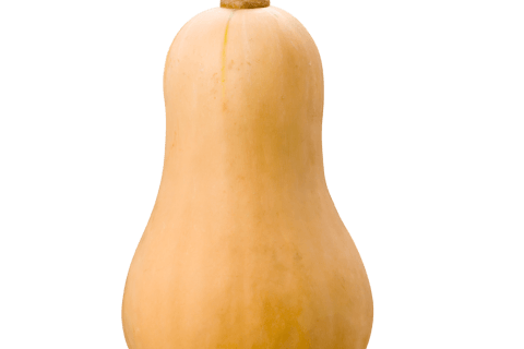 Cliquez pour zoomer ! Photo de mariepoppins77