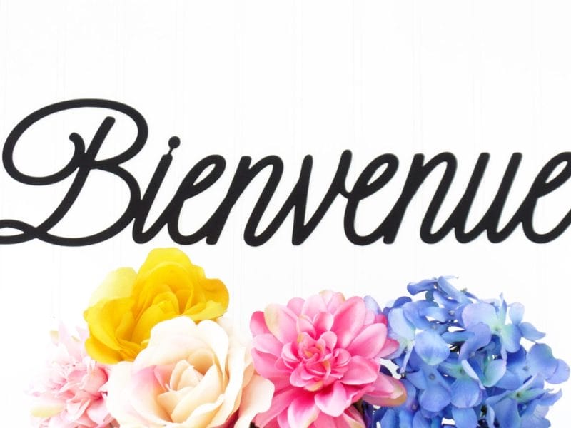 Cliquez pour zoomer ! Photo de mariepoppins77 Thermomix par mariepoppins77