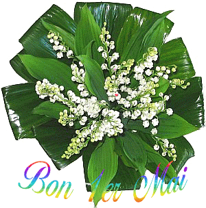 Cliquez pour zoomer ! Photo de mariepoppins77