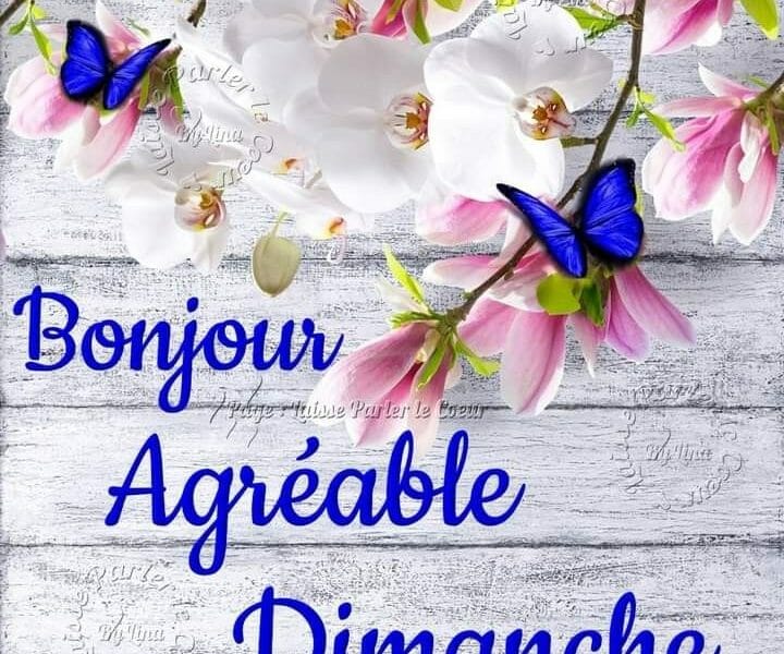 Cliquez pour zoomer ! Photo de mariepoppins77 Thermomix par mariepoppins77