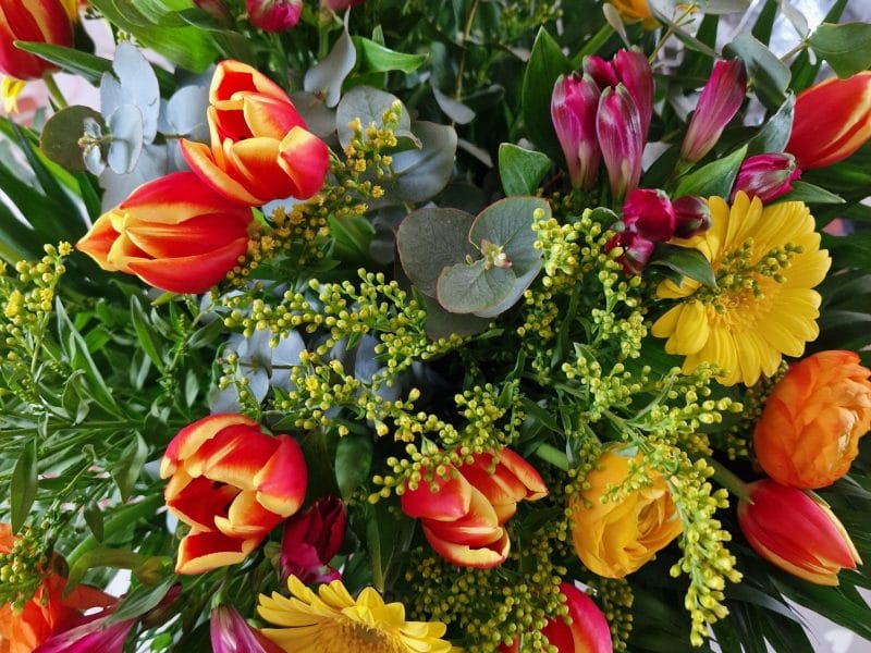 Cliquez pour zoomer ! Photo de mariepoppins77 Thermomix par mariepoppins77