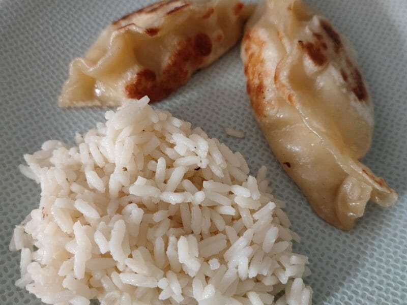 Cliquez pour zoomer ! Gyoza poulet et chou chinois Thermomix par Karen89260