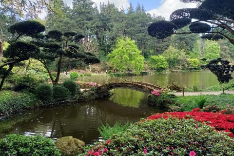 Cliquez pour zoomer ! Photo de marie