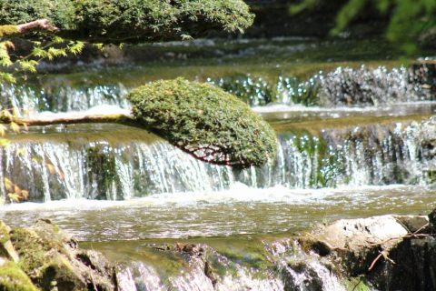 Cliquez pour zoomer ! Photo de marie