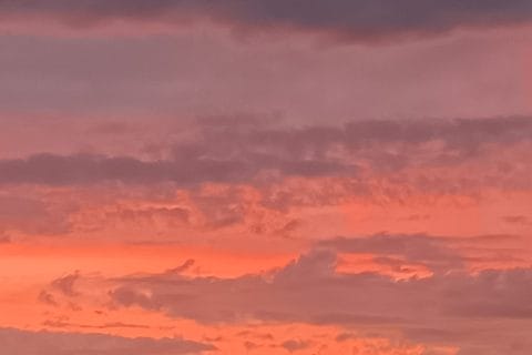 Cliquez pour zoomer ! Photo de marie