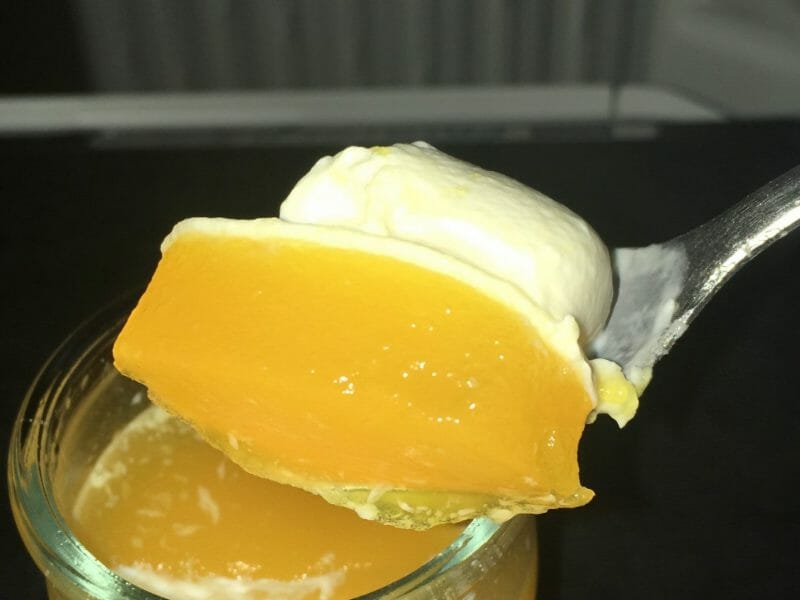 Cliquez pour zoomer ! Panna cotta au sirop de pamplemousse Thermomix par Patricia K.