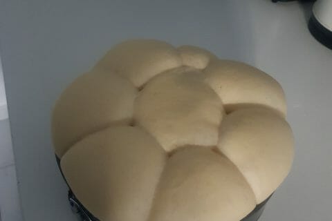 Cliquez pour zoomer ! Brioche Buchty Thermomix par mounia_36