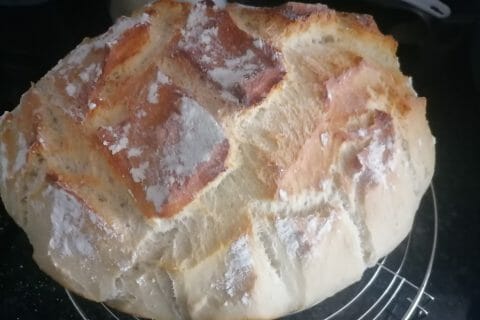 Cliquez pour zoomer ! Pain Cocotte Thermomix par coco1512