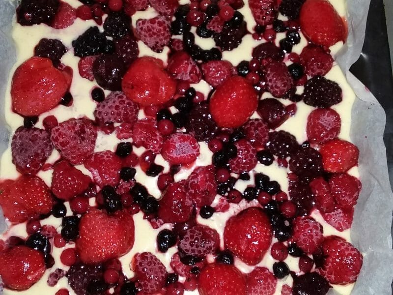 Cliquez pour zoomer ! Bublanina aux fruits rouges Thermomix par Martie