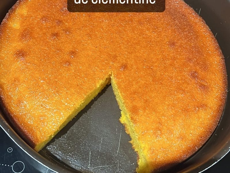 Cliquez pour zoomer ! Gâteau à la clémentine Thermomix par Frédérique l’arménienne