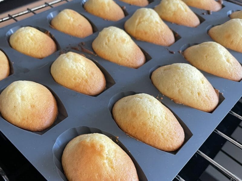 Cliquez pour zoomer ! Madeleines Thermomix par nyx77