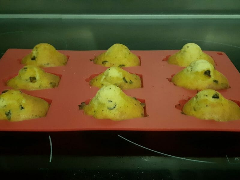 Cliquez pour zoomer ! Madeleines Thermomix par Melinagir