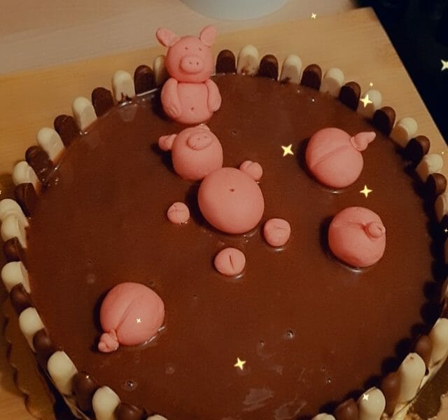 Cliquez pour zoomer ! La mare aux cochons Thermomix par Samy_Rim