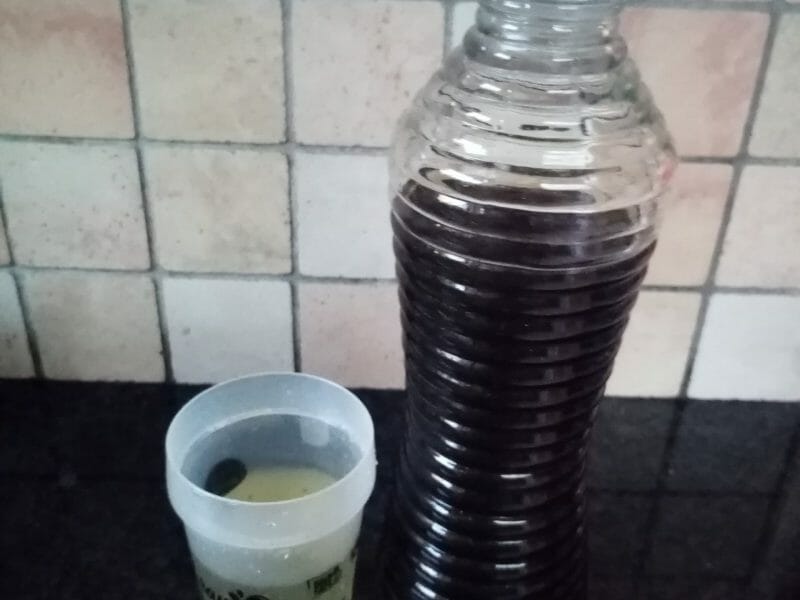 Cliquez pour zoomer ! Sirop de menthe Thermomix par amandinedr