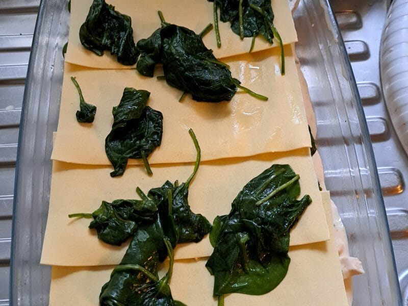 Cliquez pour zoomer ! Lasagnes au poulet et tomates séchées Thermomix par cyriletienne