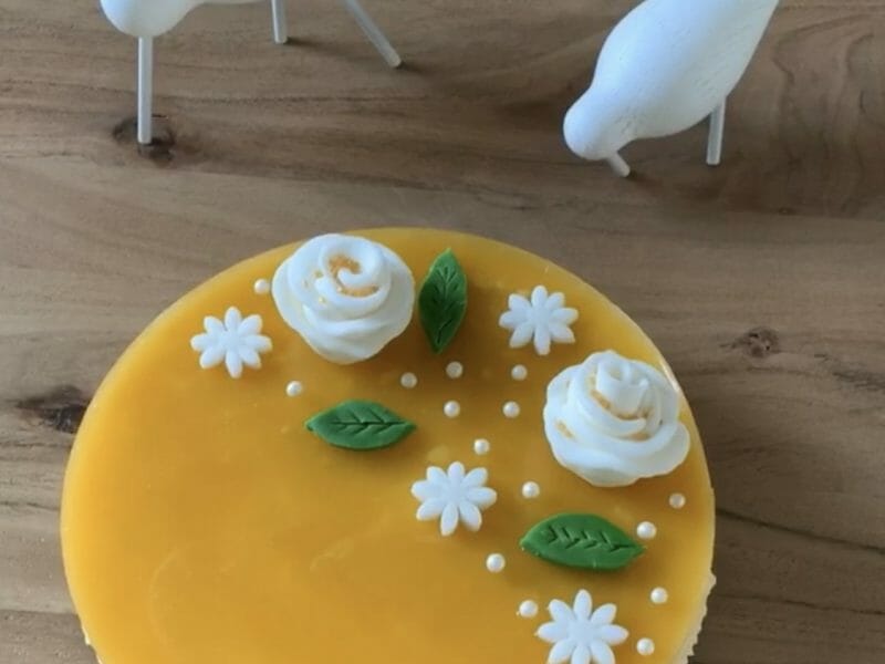 Cliquez pour zoomer ! Bavarois à l’abricot Thermomix par r3lie