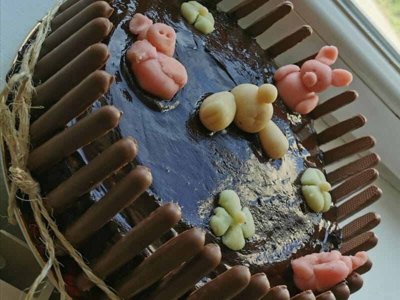 Cliquez pour zoomer ! La mare aux cochons Thermomix par ChatMo